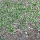 유곡초등학교 이미지