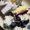 장안시스템 | 시그니처 순우유 블루베리 케이크 정말 맛있는 “제이델링 수원장안점” 상세후기