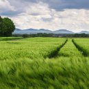 나이스축산마트 이미지