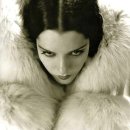 여우와늑대 이미지