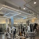 디스이즈 피트니스 이미지