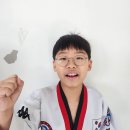 미르 태권도 이미지