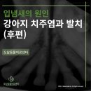 서울대동물종합병원 이미지