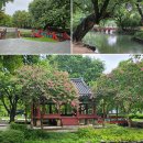 감성 가득한 비 오는 날 여행 남원 광한루원 국내 여행 추천