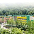 사음초 Daum카페