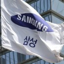 무엽집중도 | 상위 10대 기업 수출 비중 50.1% ‘역대 최대’…반도체 쏠림 심화 | 한겨레 이미지
