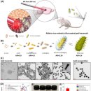 홍익메디케어 이미지