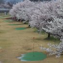 오곡 파크골프장 이미지