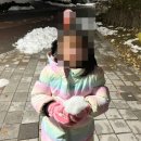 7세 공주님과 함께하는 워킹맘 11월 하반기 일상