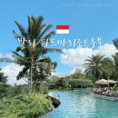 파드마투어 | [발리 리조트] 우붓 정글 뷰 인생샷 리조트 &#34;파드마 리조트 우붓&#34;