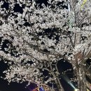 분위기 좋고 맛도 좋은 에디슨작업실 솔직후기(울산삼산맛집, 신상술집, 내돈내먹)