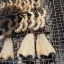 아이러브펫AC 이미지