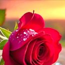 AWESOME World 👌 ❣ 💕 🌹🙏 이미지