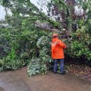 호우목장 이미지