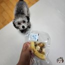 포퍼피(FOR PUPPY) | 동탄 강아지수제간식 푸드포퍼피(송아지목뼈, 피자, 케이크)