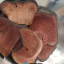 한강한의원 이미지