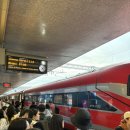 남부로 | 이탈리아 신혼여행 ‘노마드트래블 기차 남부투어’ 내돈내산 후기