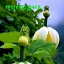 행복한아침 이미지