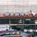 혁집오리 이미지