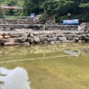 자연휴양림 깊은 물놀이장 이미지