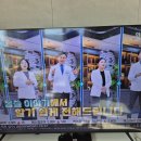 통증 요정 김학조 영상보고 하우림한의원 알게 된 후기