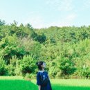 충효당 화장실 네이버블로그