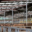 덕풍 2농장 이미지