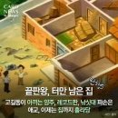 휴먼 크리닝 | 삿포로 여행기- 1일차