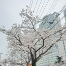 온천장밥집 코다리 the 맛있는 코다리 방문후기