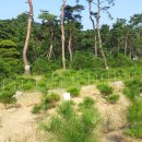 고골농장 이미지