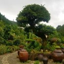 도산일주로 이미지