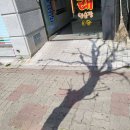 크로바빌딩 이미지