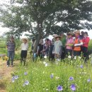 학생농장 이미지