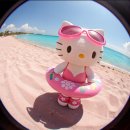 민앤팜 | 1월 신혼여행 준비 [몰디브 편] - 여행사 추천&amp;비교 | 허니문리조트 • 투어민 • 트레비아 • 리얼몰디브