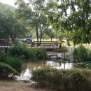 용인-구갈-구갈1 이미지