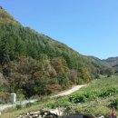 민가농장 이미지