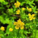 승우목장 이미지