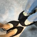 멍바이멍 반려견 유치원 | 양천구 목동 반려견유치원 카페멍 목동점 방문후기