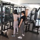피티365