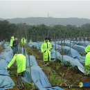 군탄 2리 이미지