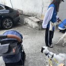 돌고 산책후!! 캣타워 신규 설치 이미지