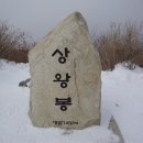 2011.01.22 (토) 사뿐히 내려앉은 새하얀 눈꽃, 아!! 순백의 황홀경이여!!! 백두대간, 동해의 푸른바다,,부처의 진신사리가 모셔져 있는 적멸보궁,,,평창 오대산 이미지