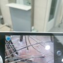 부산 남포동미용실에서 만나는 진짜 힐링, 나투리아 포레스트 힐링스파 롤리헤어 테일원장