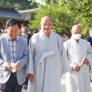 나비채