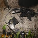 인천시청역(인천1호선) 이미지