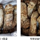 우림수산
