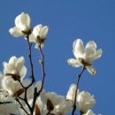 경수세탁소 이미지