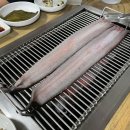 고창살아있는산풍천민물장어
