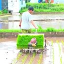 소농을 위한 4조식 보행이앙기 이미지