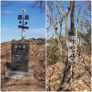 금박산농장 티스토리